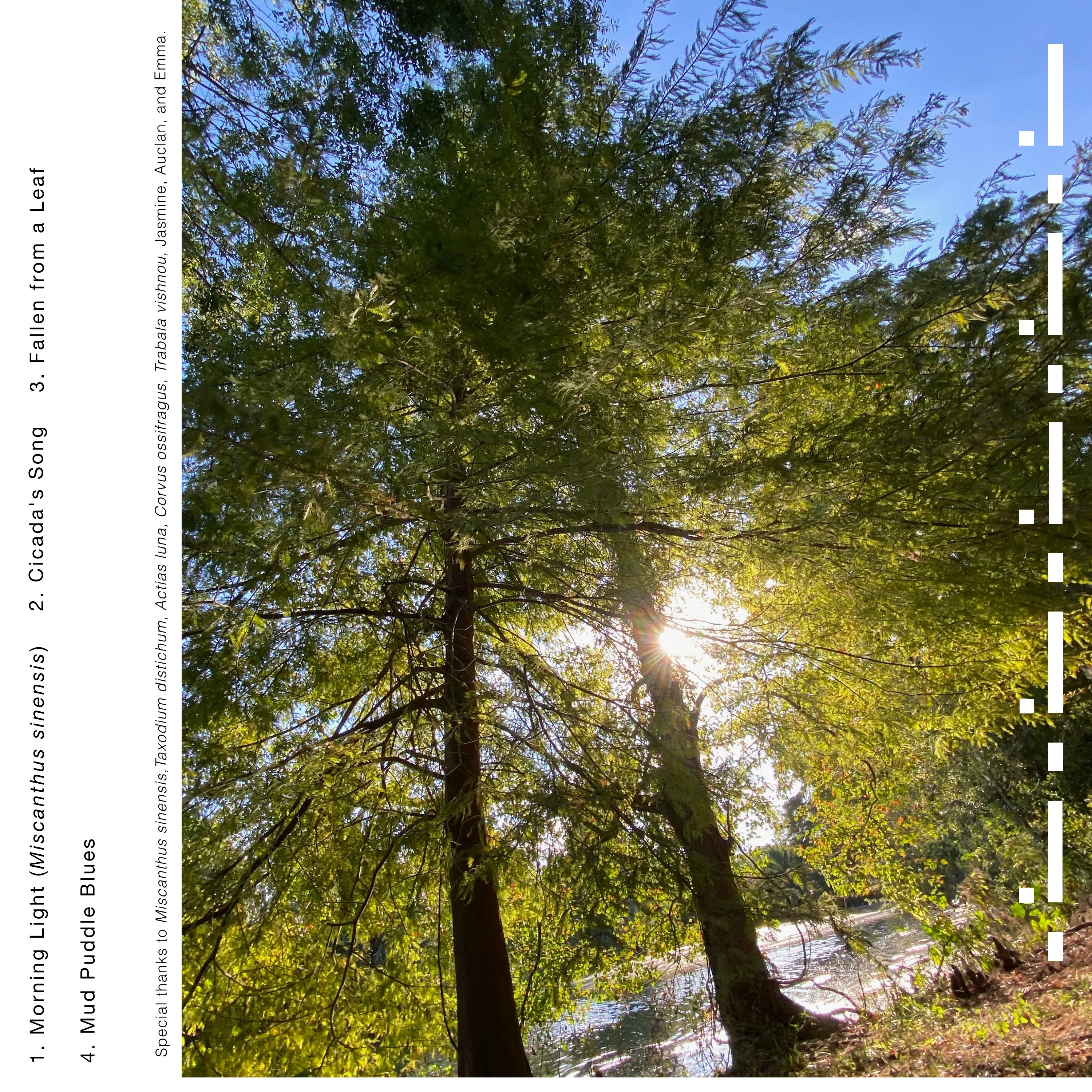 Leaf Bug, EP. Alternative Cover art